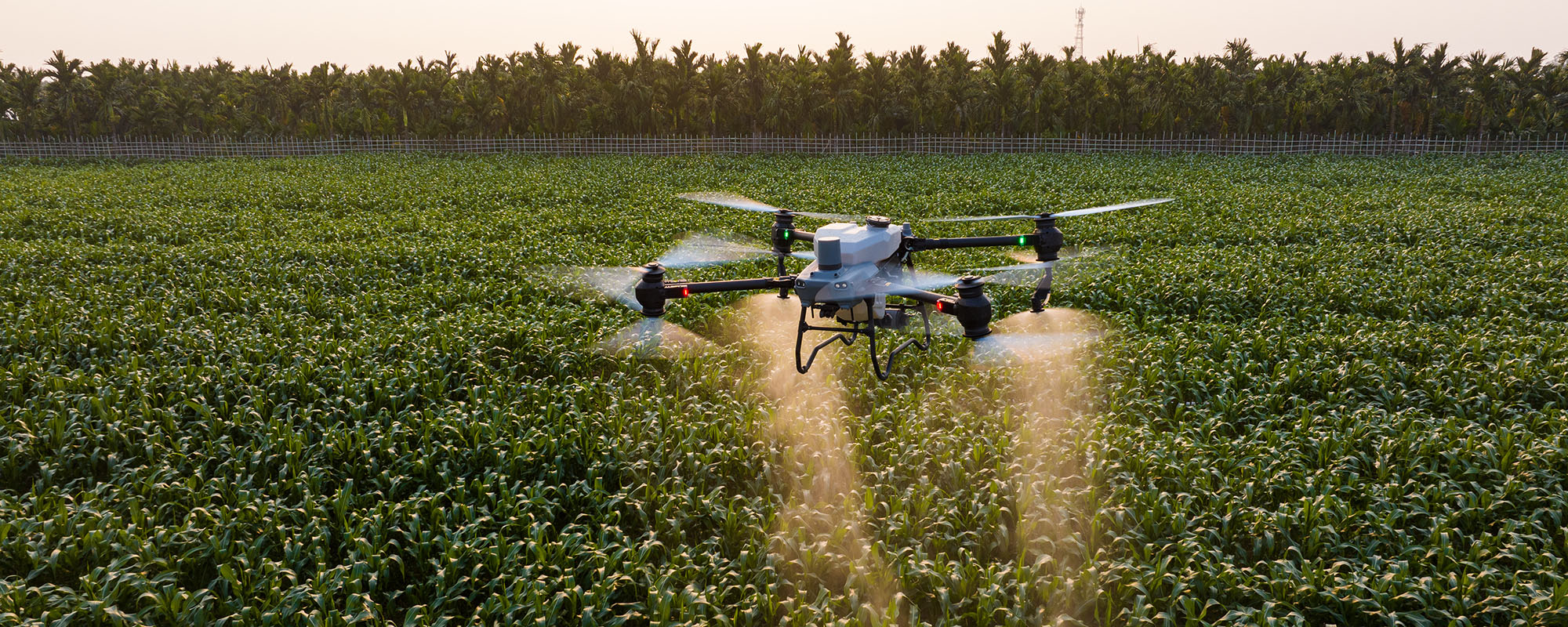 DJI AGRAS T50: Ideal for Large-Scale Farming Operations | Now Available | BC, Canada