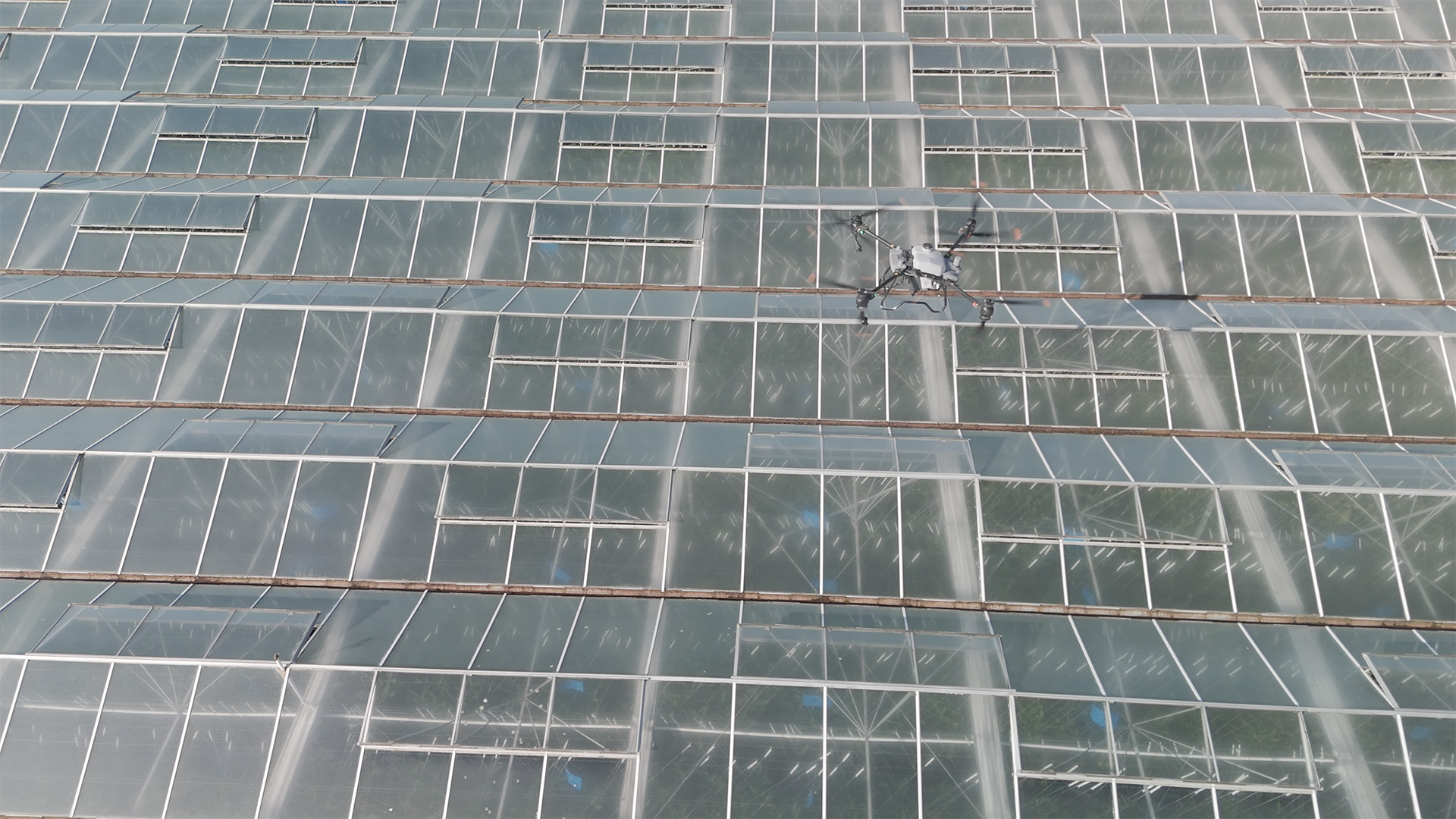 Thermal Inspections & Greenhouse Roof Cleaning: Drone Services Improve Your Greenhouse Efficiency | Drones for Agriculture